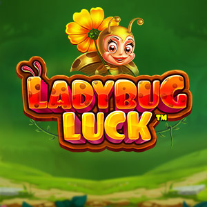 ladybug luck